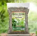 HIERBA GINGO BILOBA