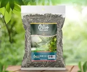 HIERBA HOJA DE OLIVO