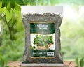 HIERBA MENTA