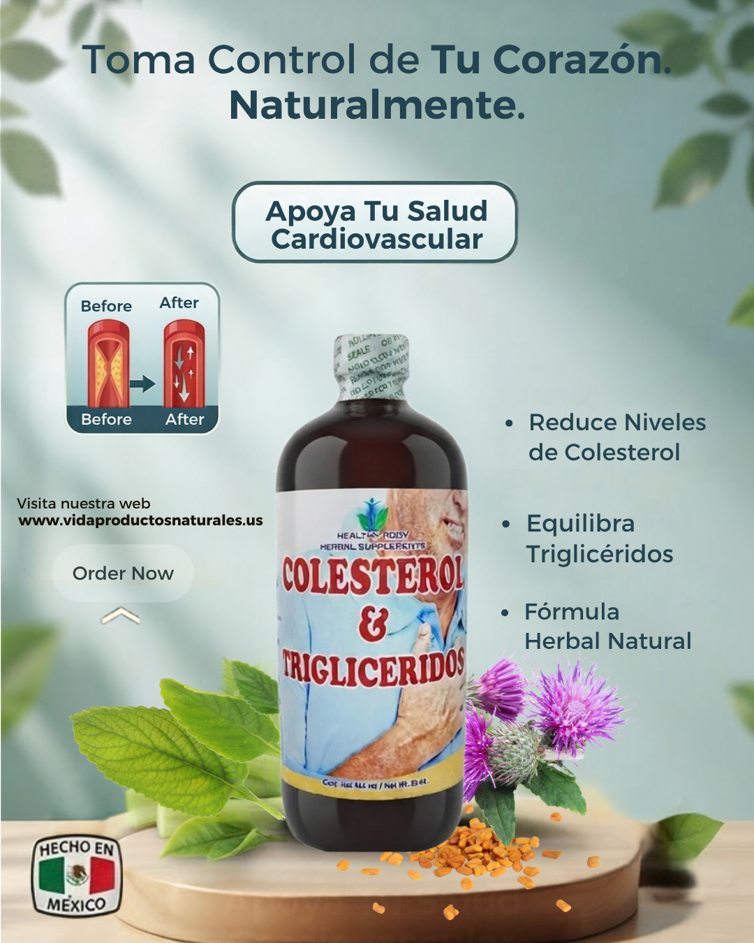 TONICO COLESTEROL Y TRIGLICERIDOS