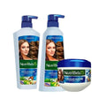 KIT NUTRIBELA CELULAS MADRE